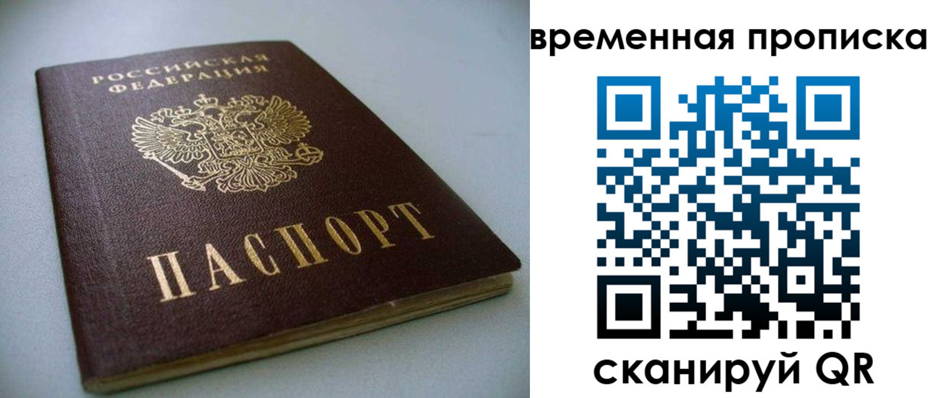 прописка паспорт в Александрове